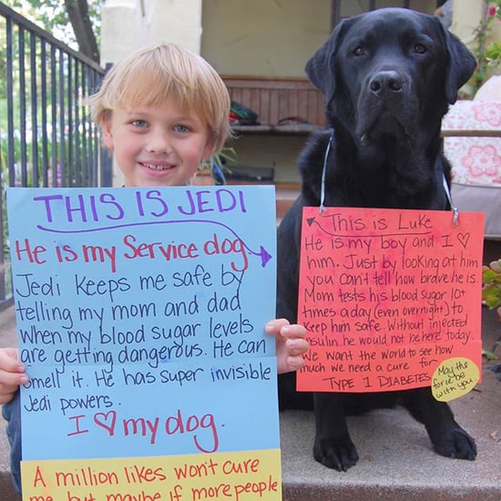 Luke and Jedi Diabetes Service Dog