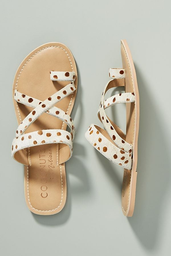 coconuts cheetah sandals