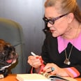 The Best Cameo in Star Wars: The Last Jedi Is, by Far, Carrie Fisher's Bulldog