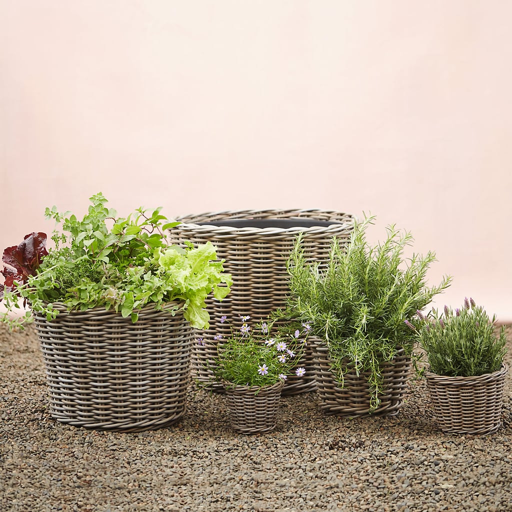 All Weather Wicker Taper Planter Best Outdoor Planters From Terrain
