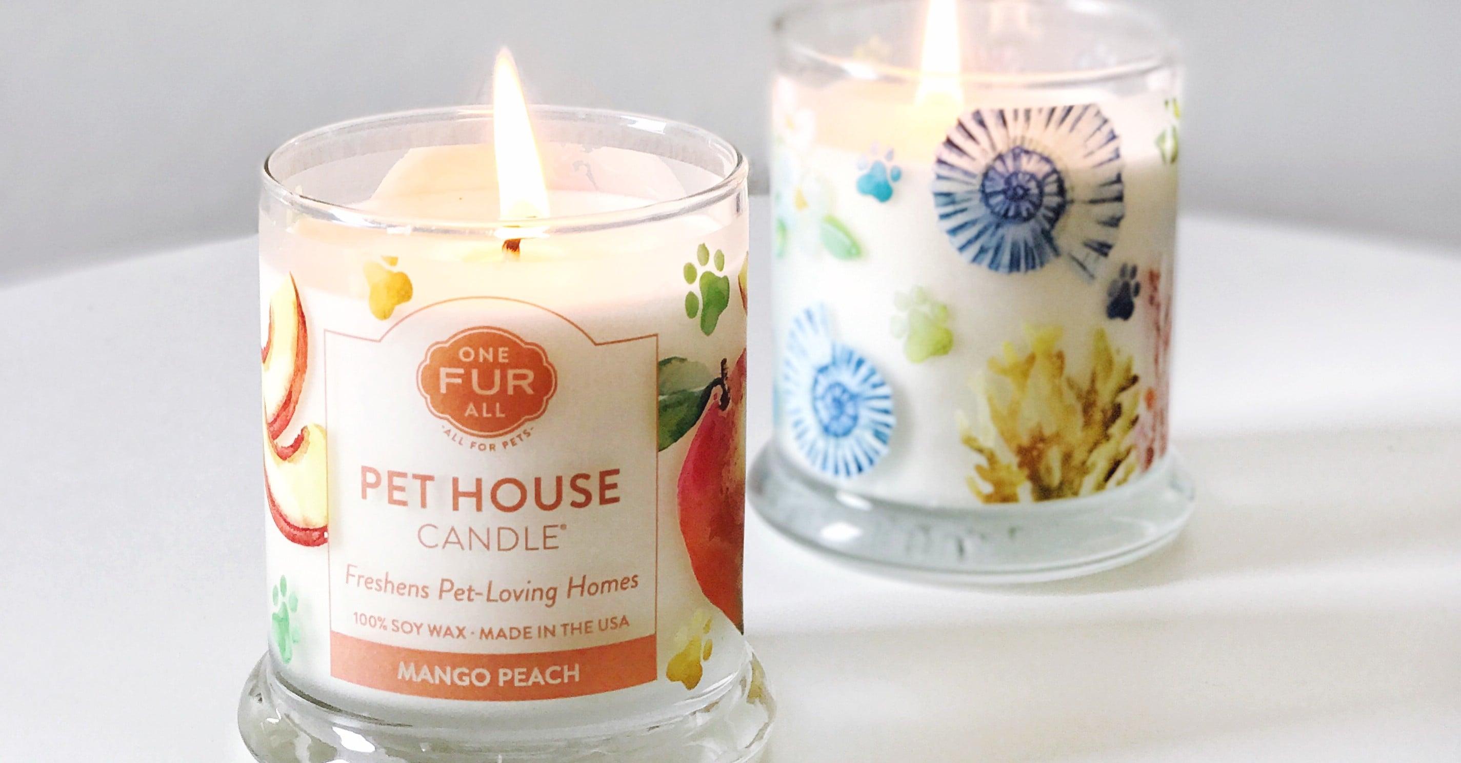 One Fur All Pet House Candle Review POPSUGAR Home