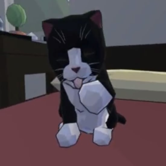 Catlateral Damage Video Game