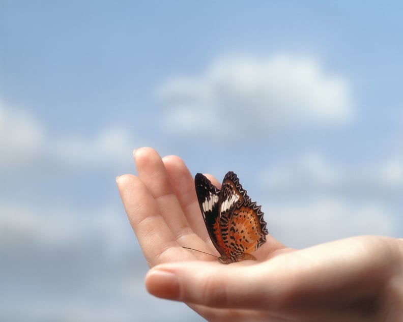 a butterfly in the palm of someone's hand