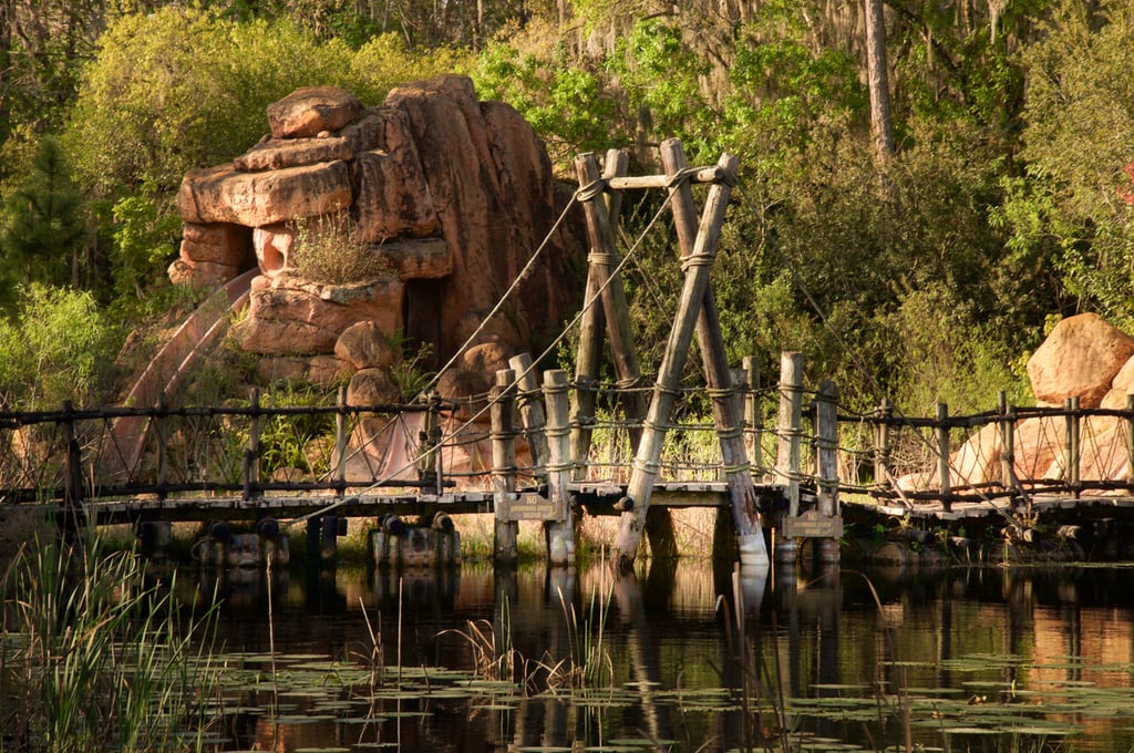 Abandoned Disney Park Photos