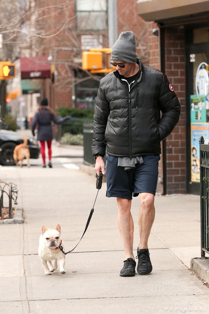 Hugh Jackman took his adorable dog on a walk in NYC on Saturday.