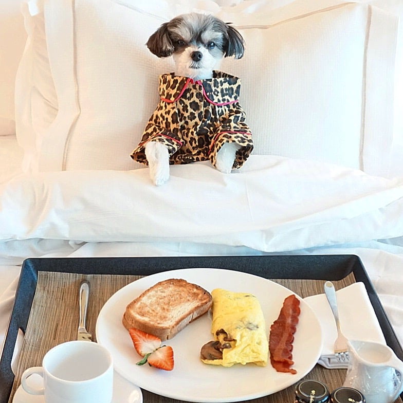 Leopard PJs and breakfast in bed is the only way to wake up in Vegas.