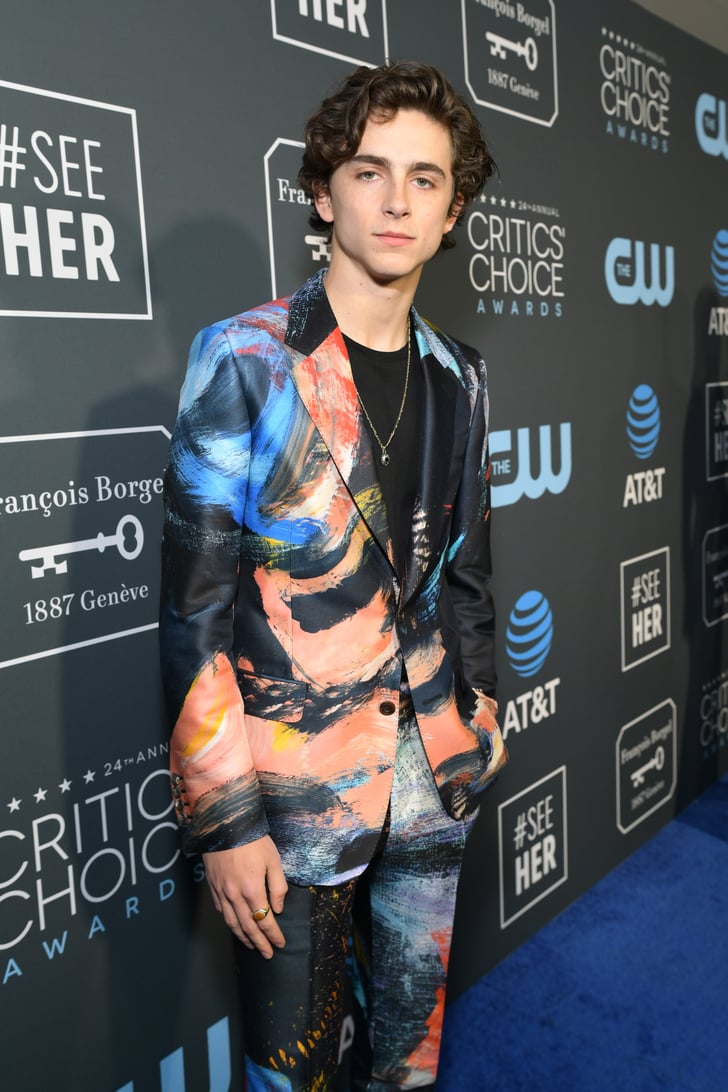 timothee chalamet pop funko