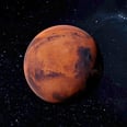 Mars Retrograde Is Bringing the Perfect Amount of Energy to Wrap Up 2024