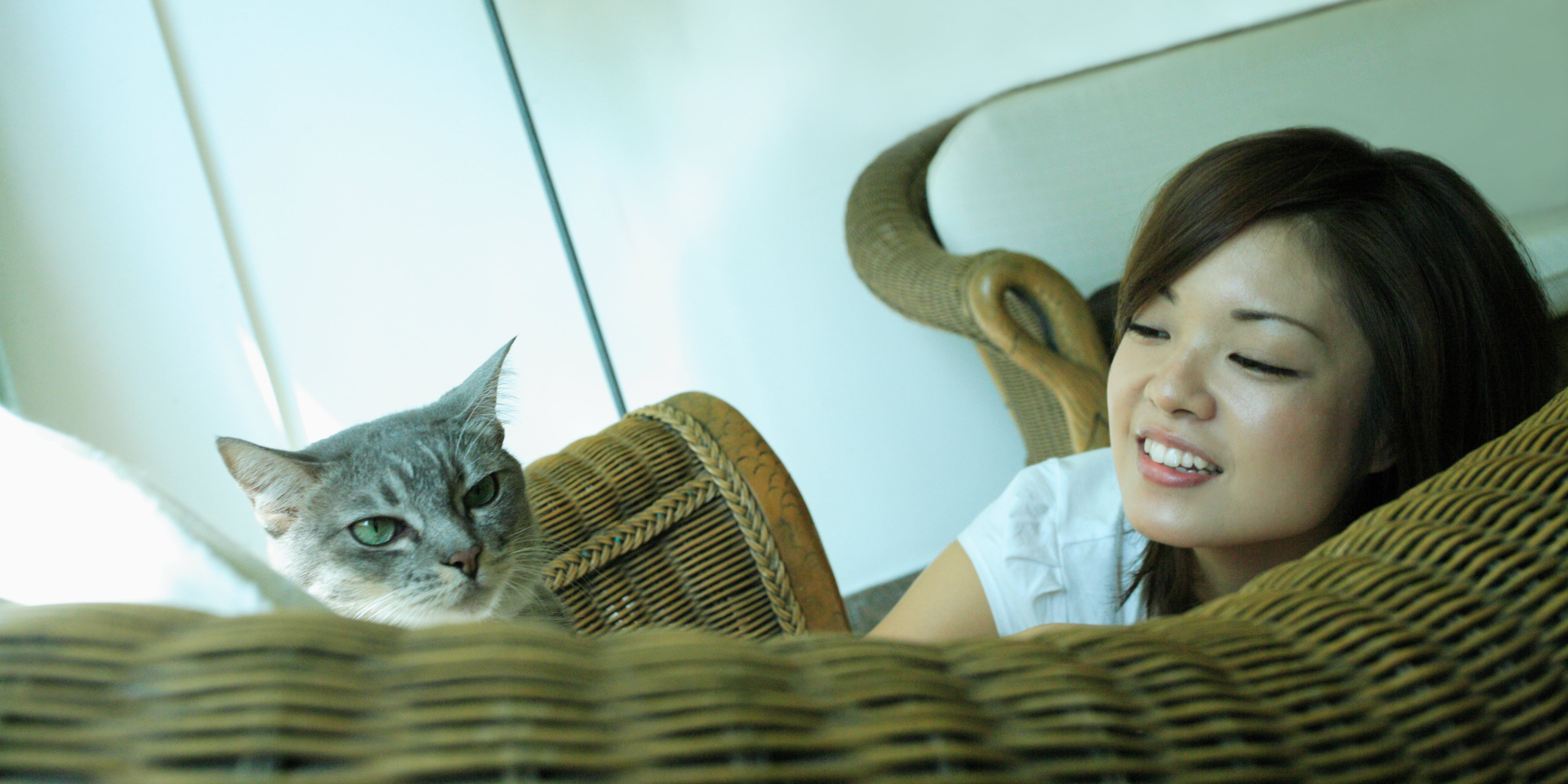 How to get my cat to cuddle with me shop