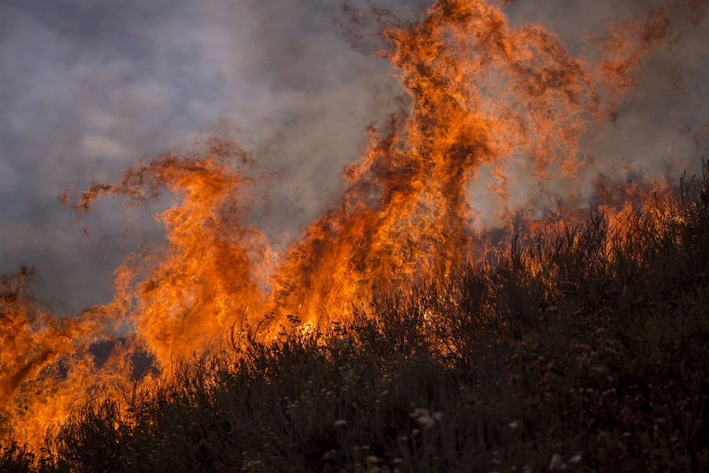 The La Tuna Fire, seen here on Sept. 2, caused hundreds of evacuations.
