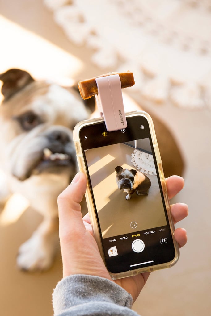 Woofie Pet Selfie + Portrait Tool