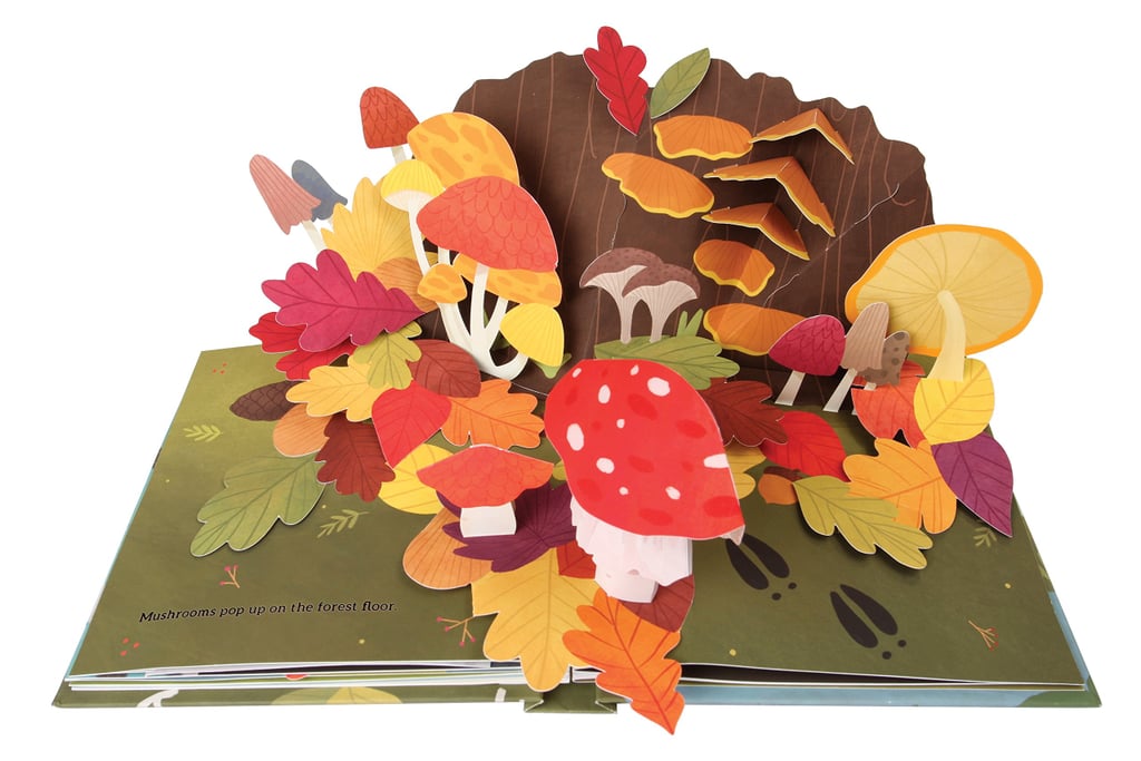 Leaves Autumn Pop Up Book 