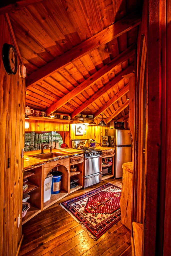 Tree House Rental in Washington
