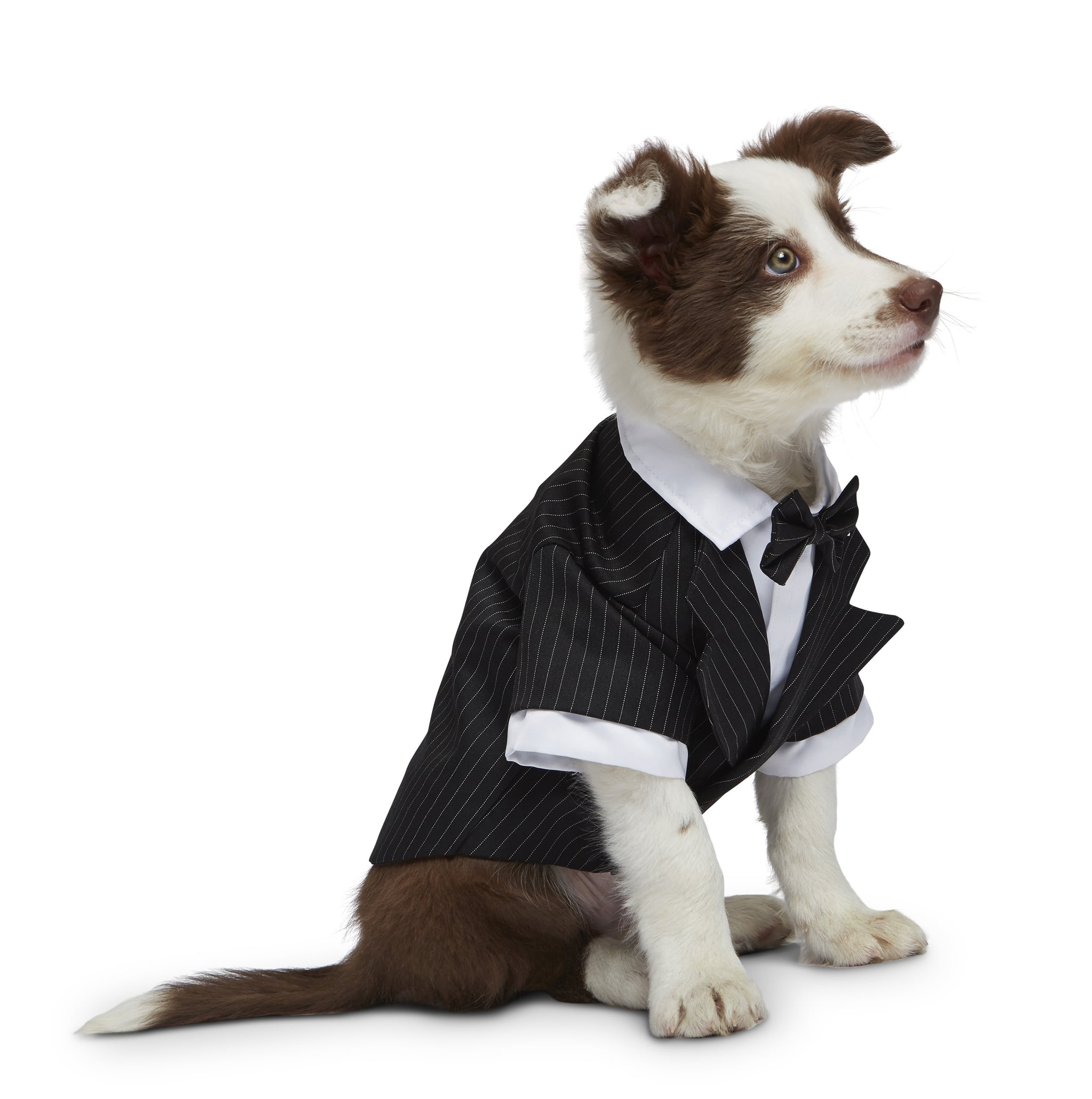 Wedding Clothes For Dogs Popsugar Pets