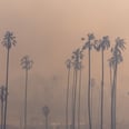 How to Stay Safe From Poor Air Quality, According to MDs