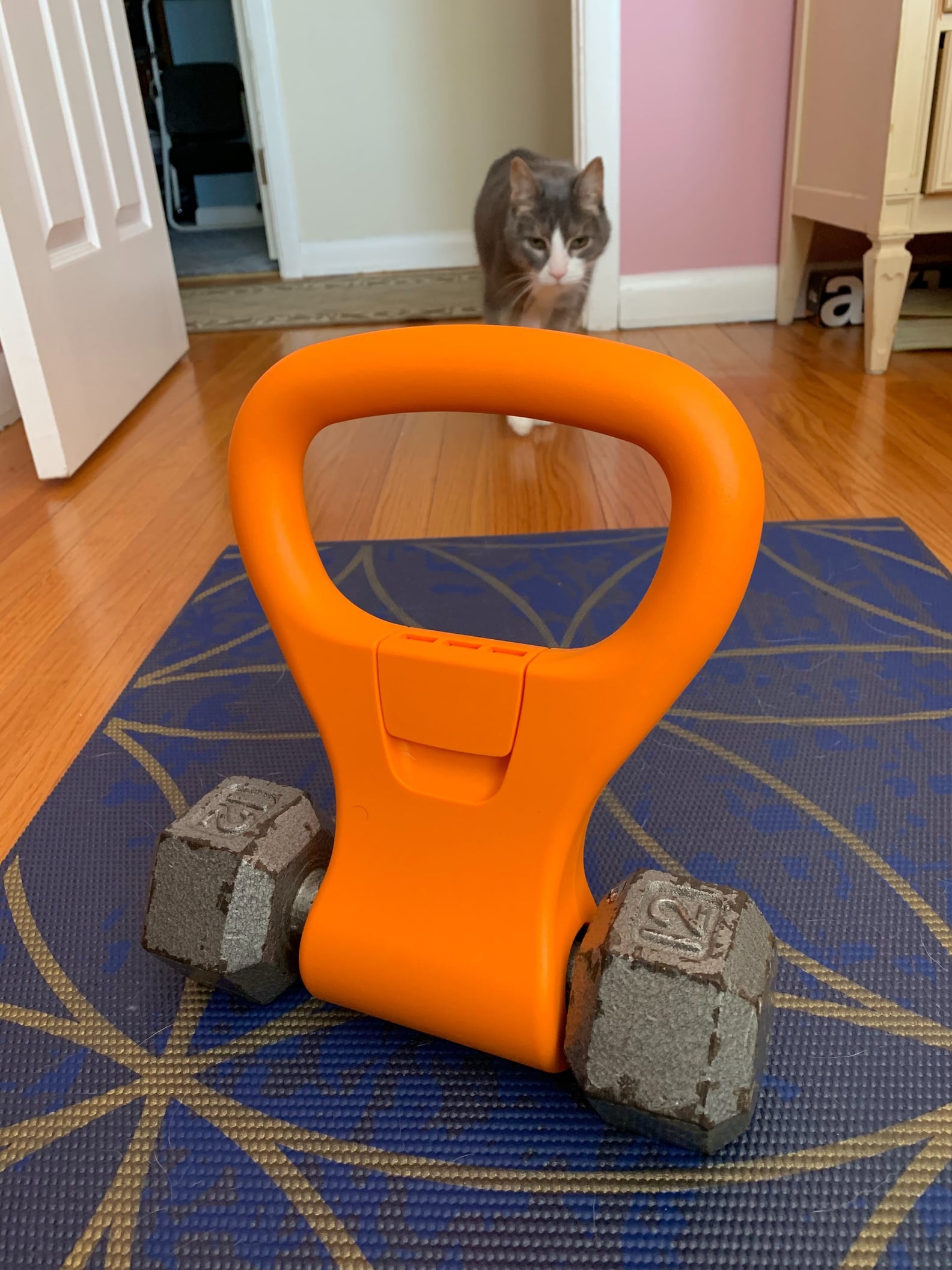 Kettle Gryp Fitness Gear AtHome Workout Review POPSUGAR Fitness