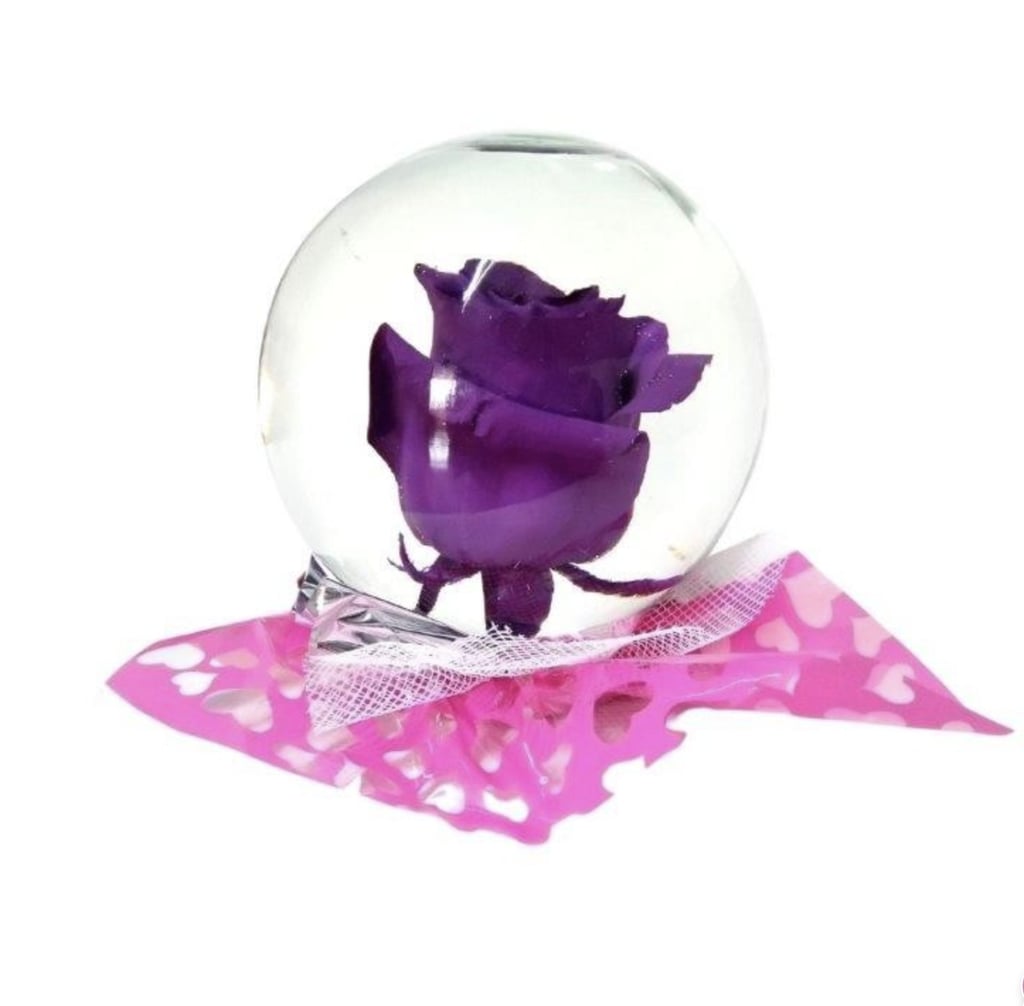 Enchanted Beauty Rose Globe