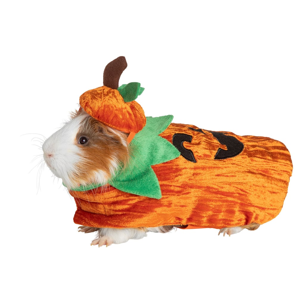 Thrills & Chills Small Pet Costume — Pumpkin