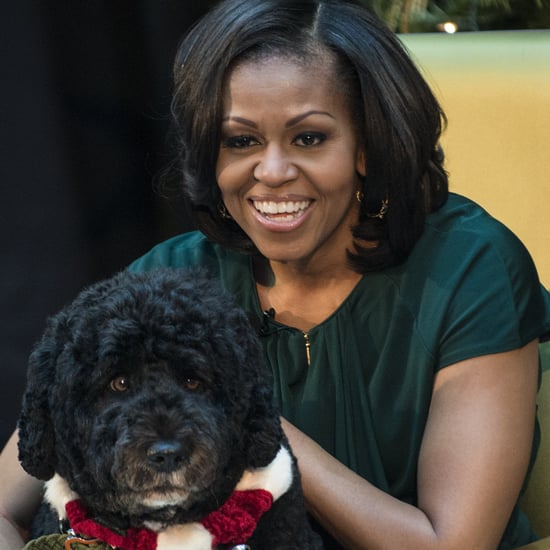 Barack and Michelle Obama's Statement After Dog Bo's Death