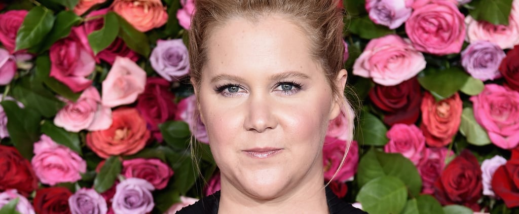 Amy Schumer's No. 1 Tip For New Moms Will Make You Say, "Yep, That Checks Out"