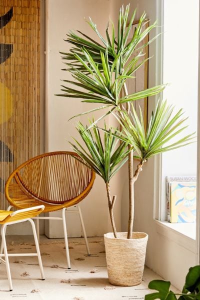 Yucca Potted Faux Tree