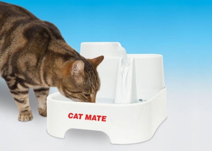 Cat mate fresh water shop drinking fountain