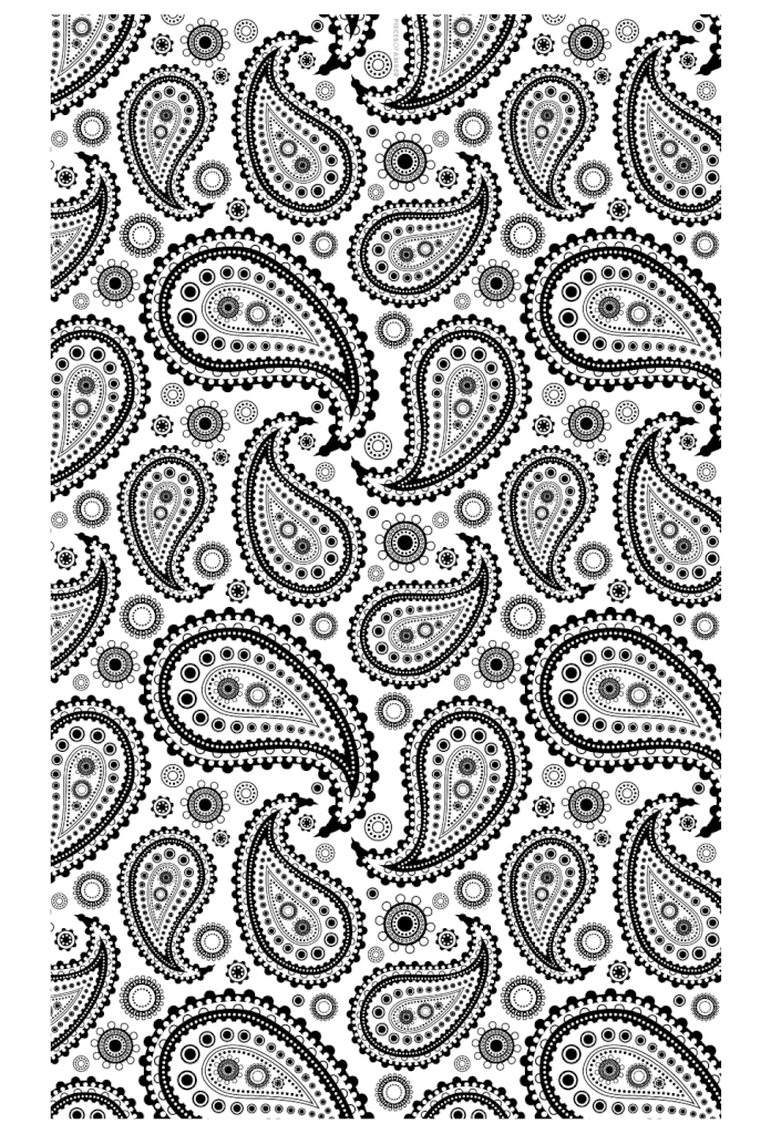 Get the colouring page: Paisley