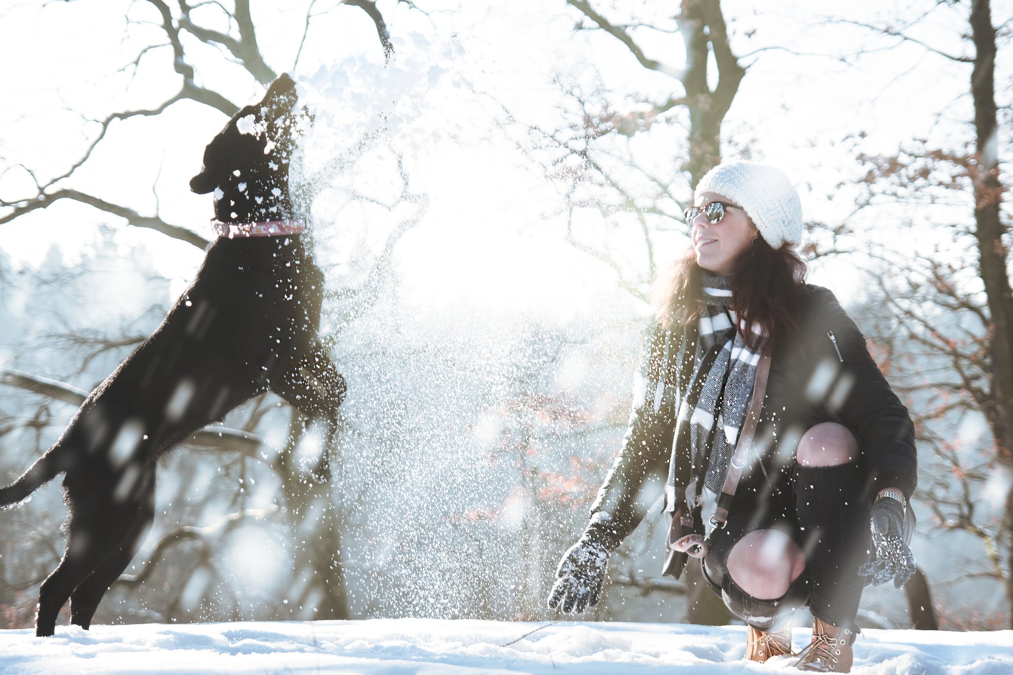 Cute Photos Of Dogs In The Winter Popsugar Pets