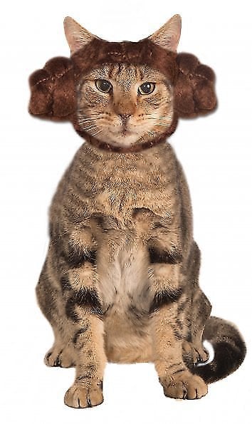 Princess Leia Buns Cat Costume