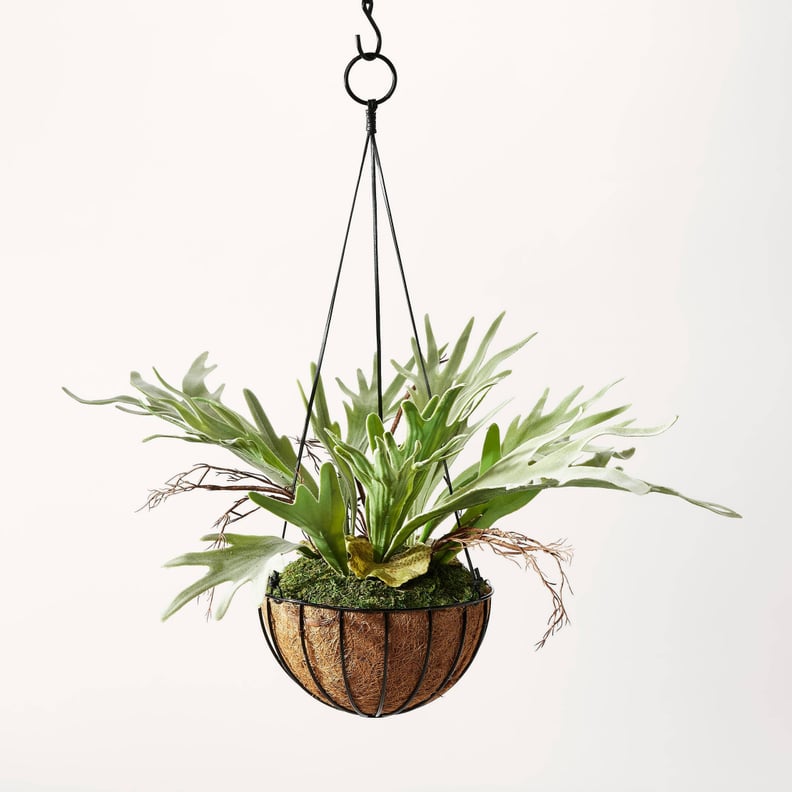 Hanging Planters