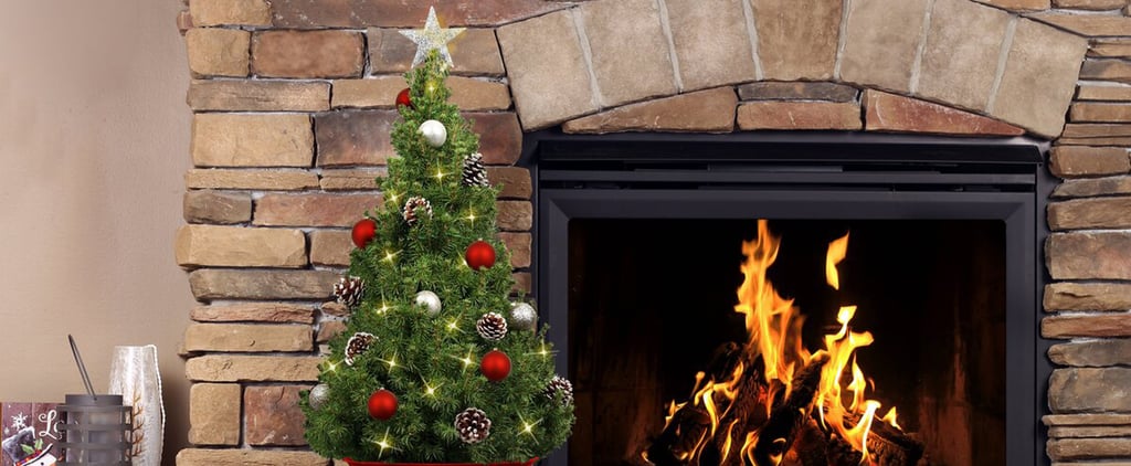 Best Live Tabletop Christmas Trees 2020