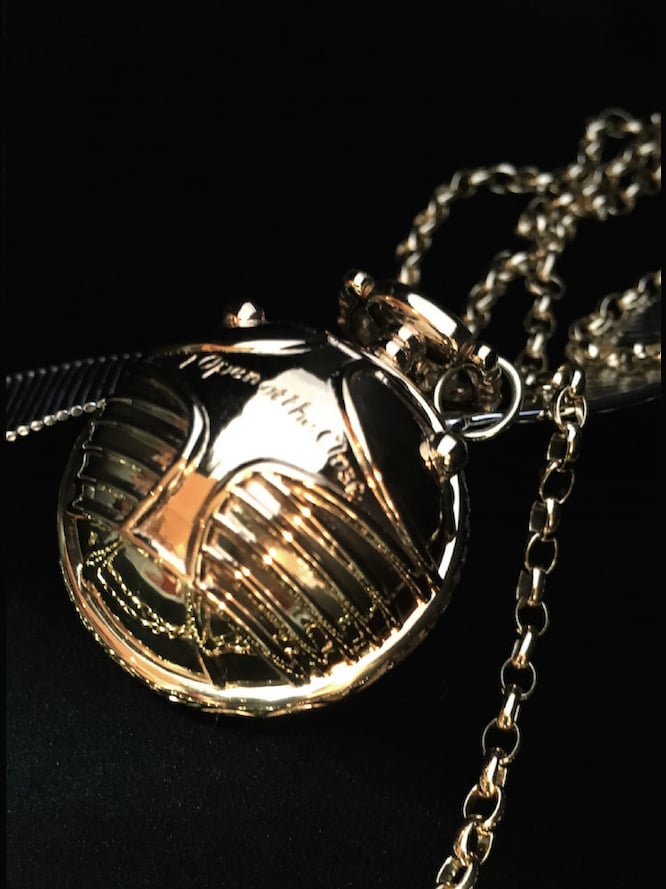 Harry Potter Snitch Proposal