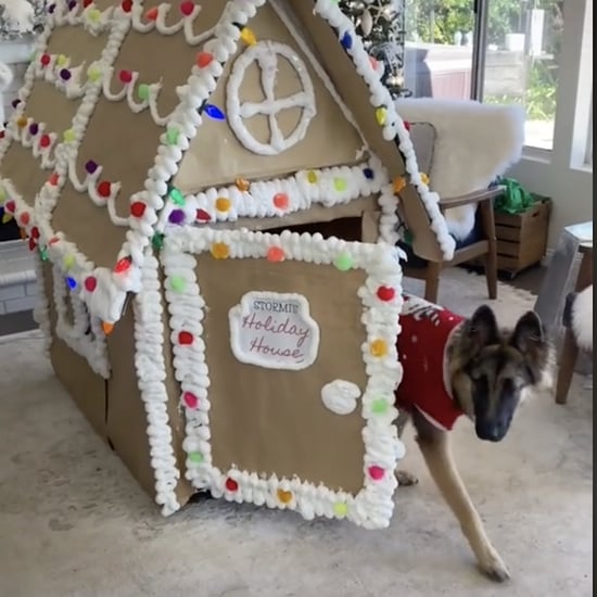 How to Make a DIY Gingerbread Dog House Using a Dog Crate