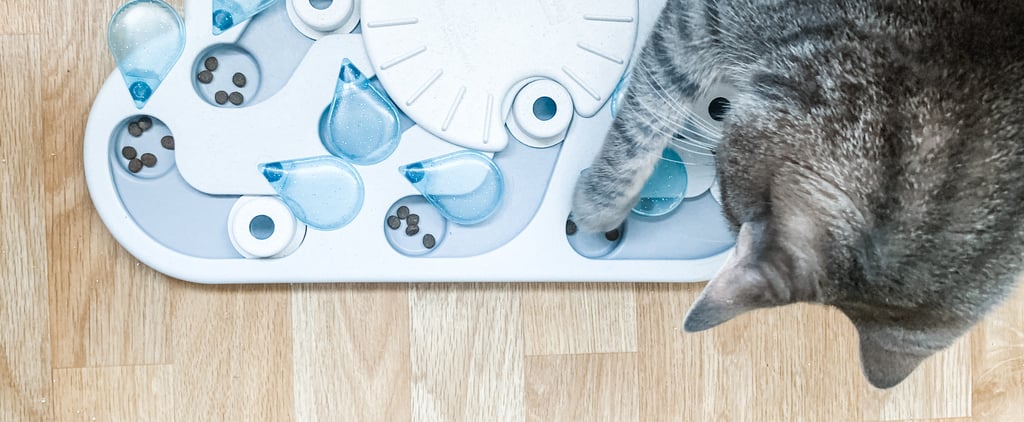 Cat Slow-Feeder Puzzle Review | PetStages Rainy Day