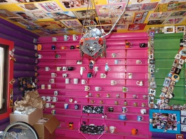 Cat House in Arizona