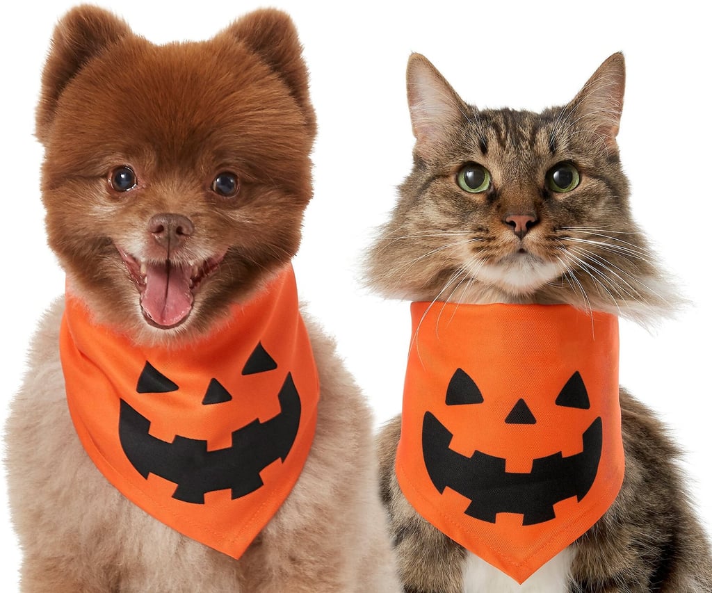 Best Pet Deal: Chewy Frisco Jack O' Lantern Pumpkin Dog & Cat Bandana