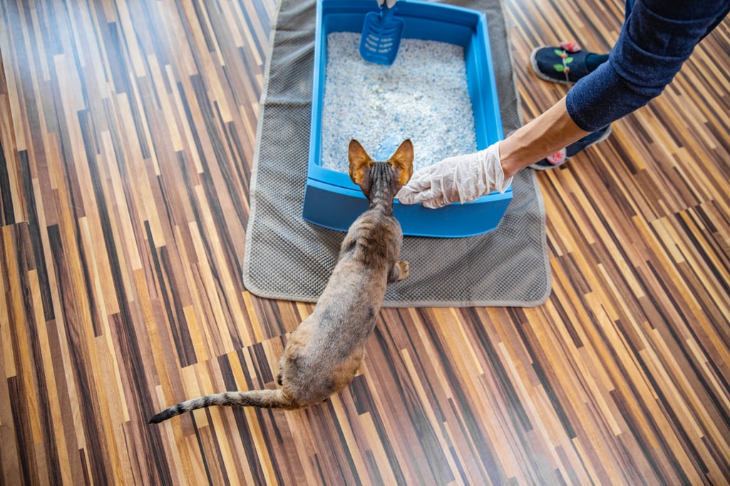 Clean the Litter Box Once a Week