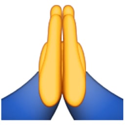 Interpretation: "I'm praying so hard." 
Name + meaning: Person With Folded Hands. Two hands placed firmly together, meaning please or thank you in Japanese culture. This emoji is sometimes used as a high-five emoji due to the similarity in appearance to a high-five gesture. 
Also known as: Sorry emoji; high-five emoji; praying emoji
Source: Emojipedia