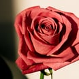 Meet the "Shadow Daddies" of Romantasy