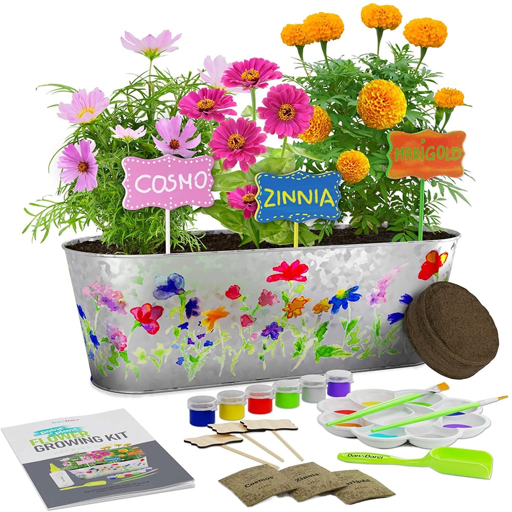 Paint & Plant Flower Growing Kit Best Amazon Prime Day Toy Deals For 2021 POPSUGAR UK