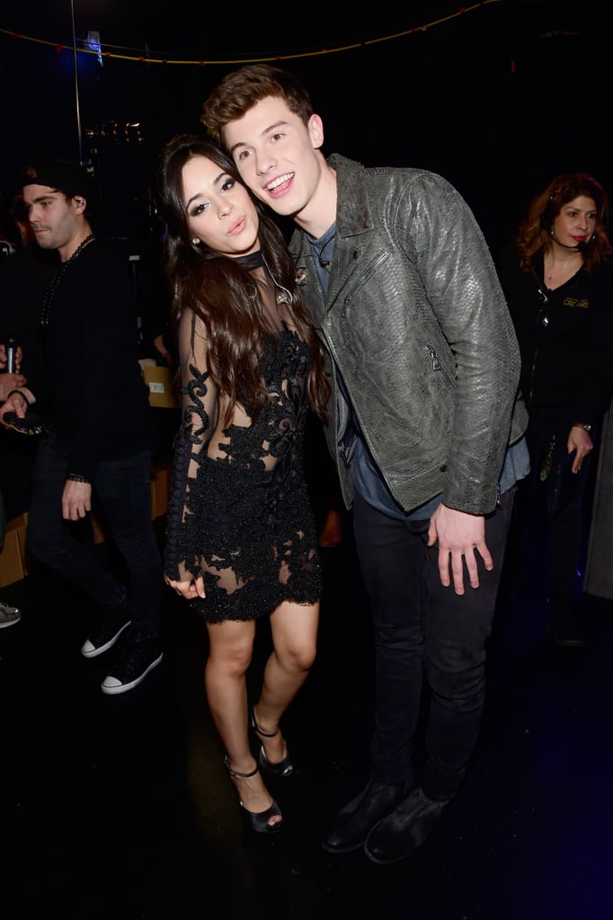 Camila Cabello and Shawn Mendes's Cutest Pictures