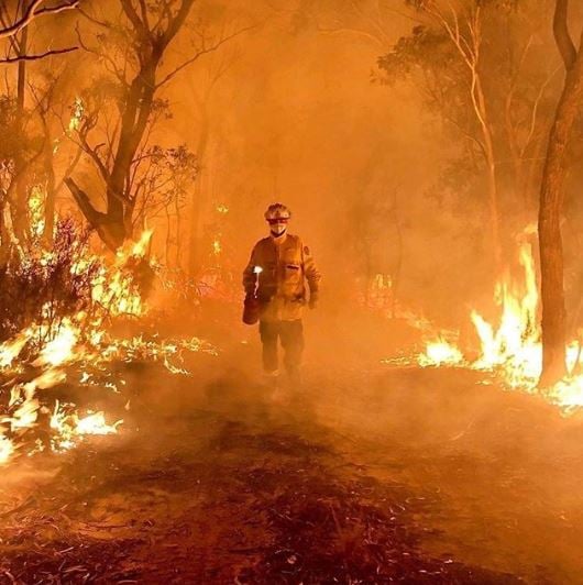 Image result for viral photos of australian bushfires