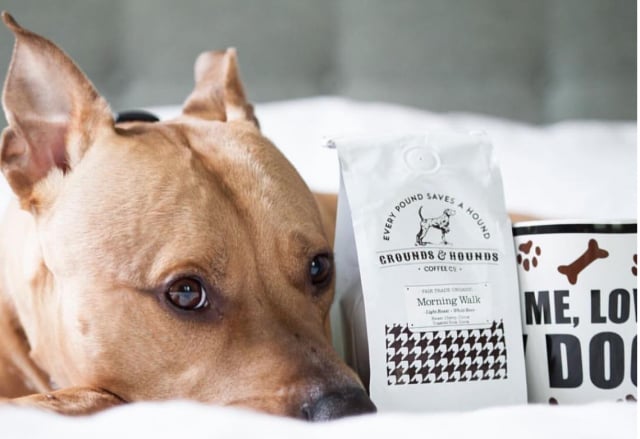 Grounds & Hounds Coffee