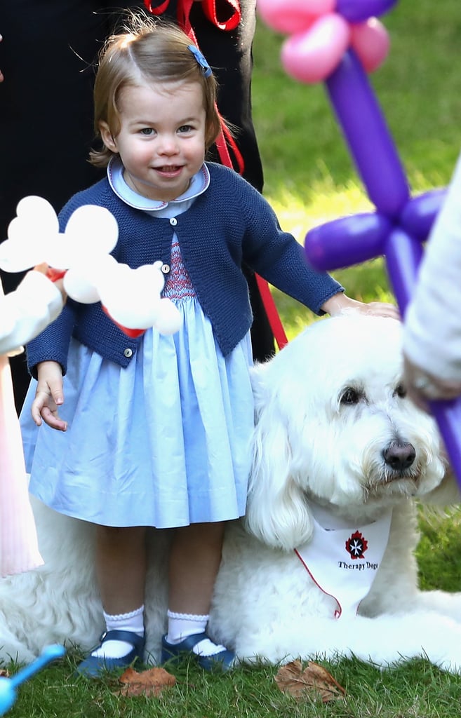 Princess Charlotte couldn't contain her excitement as she petted a fluffy dog during Kate and Will's royal tour of Canada in September 2016.
