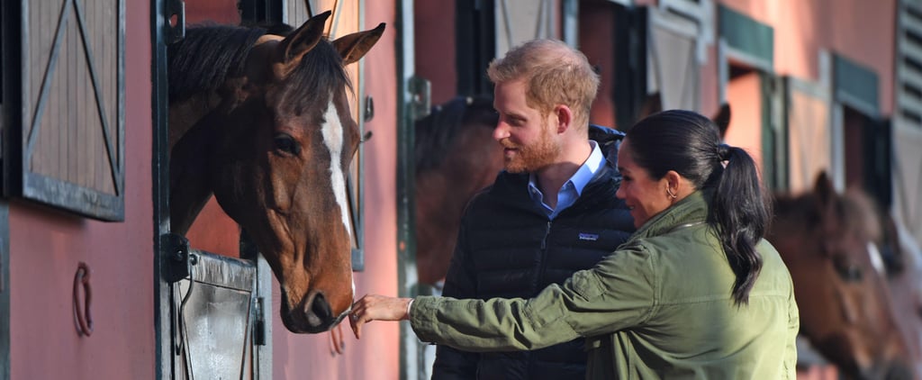 Meghan and Harry With Horses on Morocco Tour February 2019