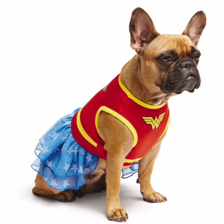 superhero dog clothes
