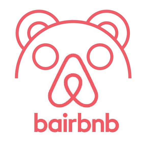 A Bear