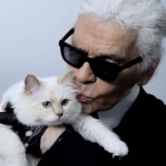 Karl Lagerfeld's Cat | Video