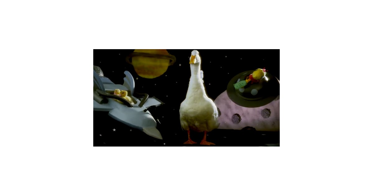 ducktales theme song with real ducks oh my disney irl