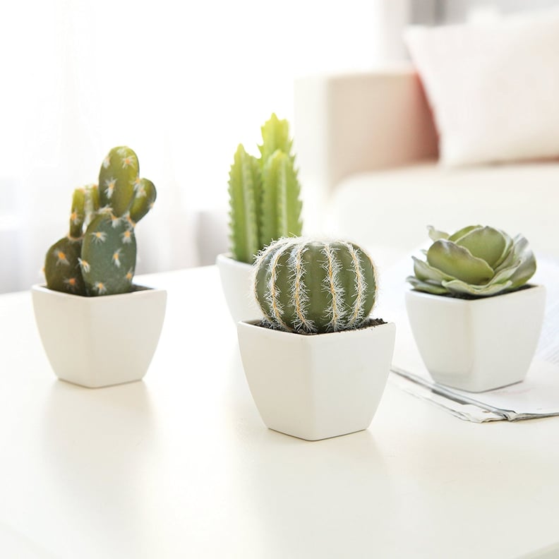 Artificial Mini Succulent & Cactus Plants (Set of 4)